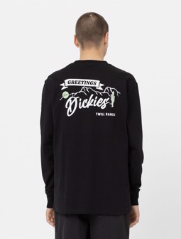 Dickies - Dighton Langærmet Tee